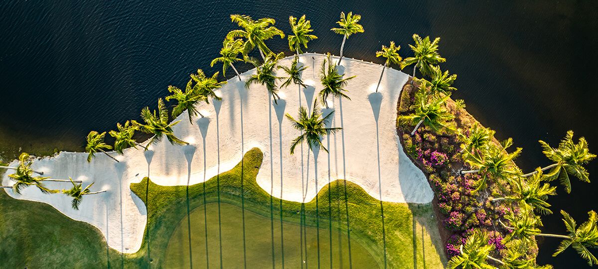 background banner image